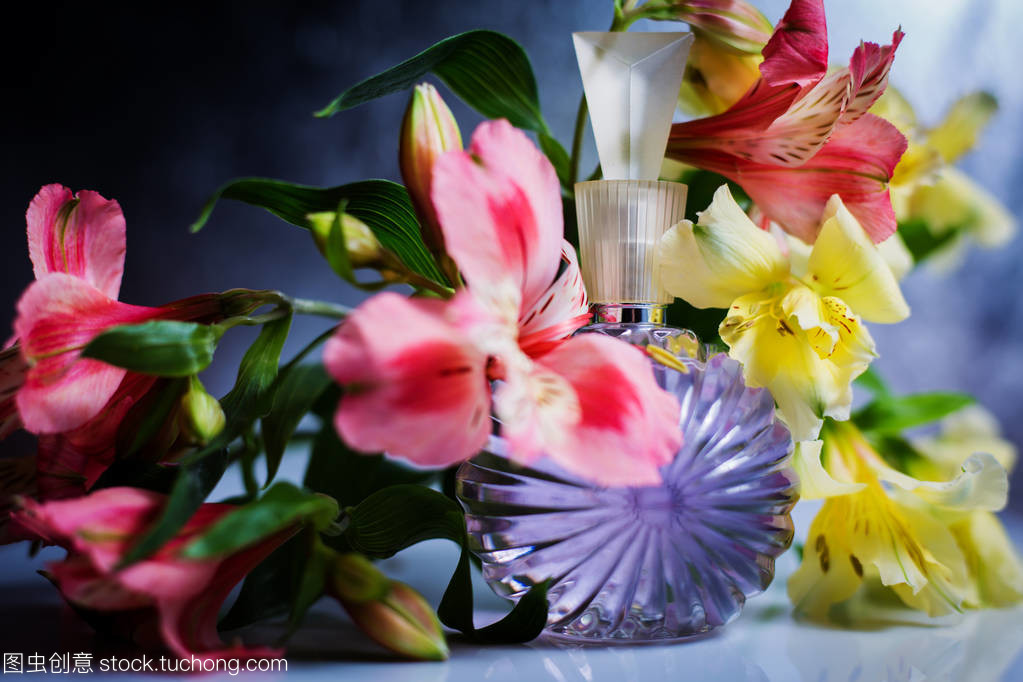 粉红花朵女性白色香水 煤的温暖与芬芳的邂逅