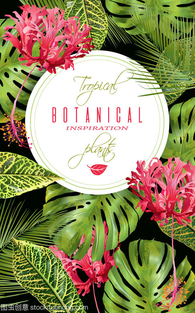 热带花卉垂直横幅 自然艺术与空间美学的融合