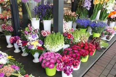 花满堂花店加盟 把握商机，共创繁花似锦的创业之路