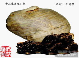 十二生肖奇石鉴赏 自然与文化的奇妙交融
